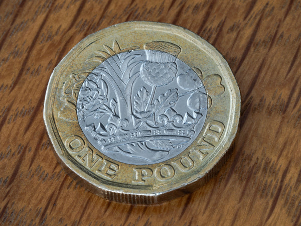 Have you ever wondered about the story behind the £1 coin?