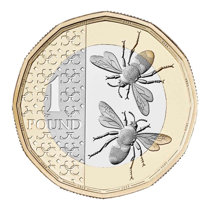 2023 Bee Definitive £1 Brilliant Uncirculated Coin - Copes Coins
